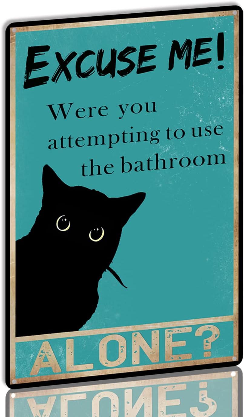 Home Alone Bathroom - Pancarte en métal amusante « Excusez-moi,