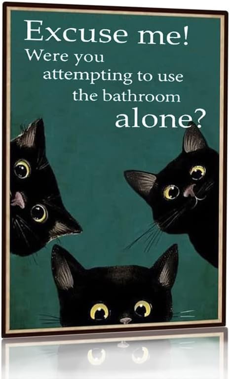 Panneau décoratif amusant en m - Home Alone Bathroom avis et prix