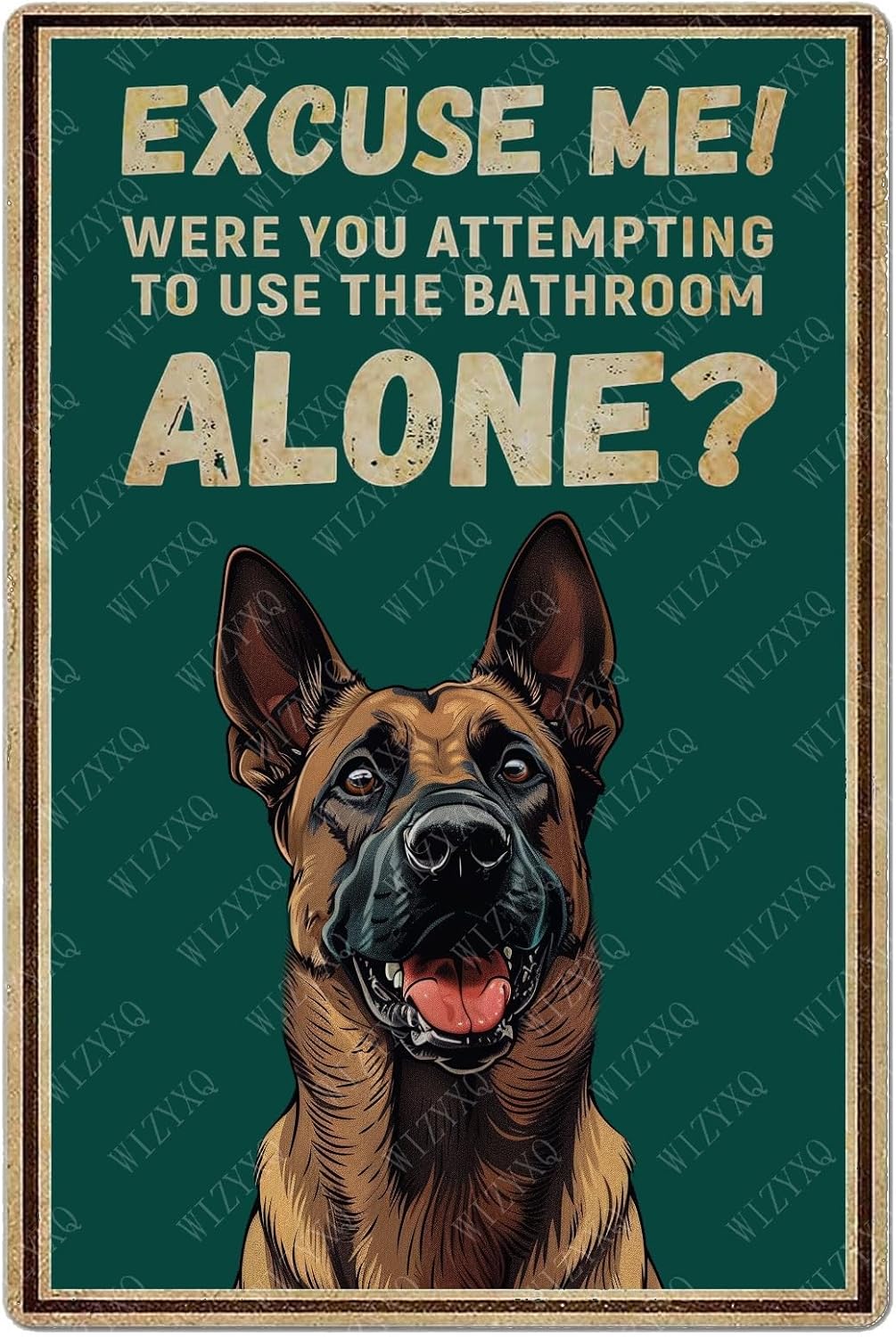 Panneaux en métal vintage « Ex - Home Alone Bathroom avis et prix